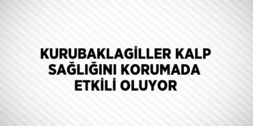 25583300582674620881tasarimli