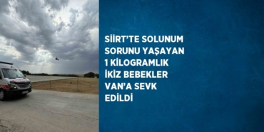 25590233072964720036