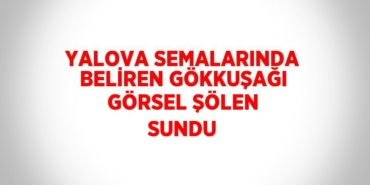 25593227182331430884tasarimli