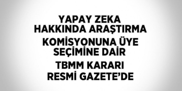 25594258342615228196tasarimli