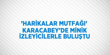 25594299232040021513tasarimli