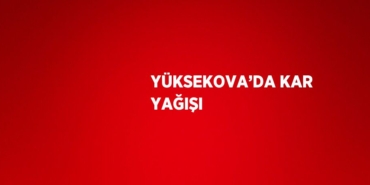 25595313182119724057