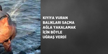 25596249632950627654