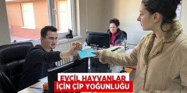 25599274452741330848tasarimli