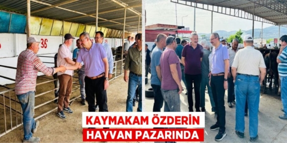 KAYMAKAM ÖZDERİN HAYVAN PAZARINDA