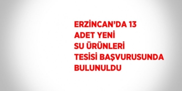25602308662369831332