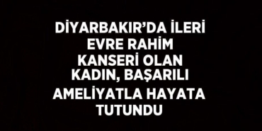 25614217112400524857tasarimli