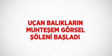 25615233512241524494tasarimli