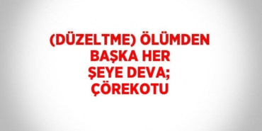 25615307802531331217tasarimli