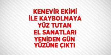 25624229082654425826tasarimli