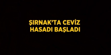 25630251312159925643tasarimli