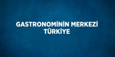 25631306862990822195tasarimli