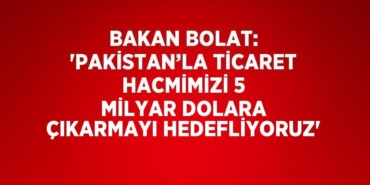 25633296192424931060tasarimli
