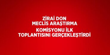 25637232302302527706tasarimli