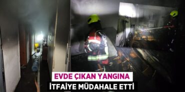 25642249032138529106tasarimli