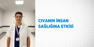 25643220132913229447