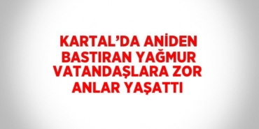 25650315602875620013tasarimli
