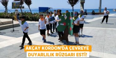 25659309362221626277tasarimli