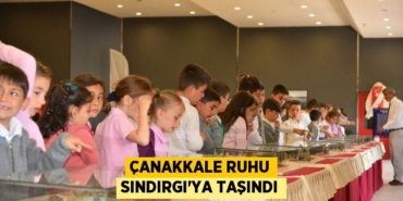 25662270842576123171tasarimli