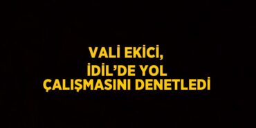 25663222352924422273tasarimli