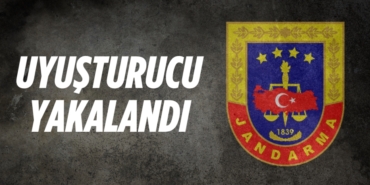 25666286832580027016