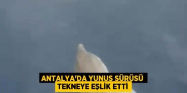 25668218763079622699tasarimli