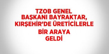 25669210983166022593tasarimli