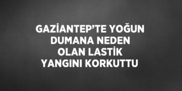 25673293322799421979tasarimli