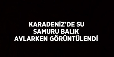 25674304252256625116tasarimli