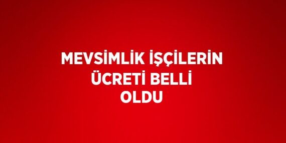 MEVSİMLİK İŞÇİLERİN ÜCRETİ BELLİ OLDU