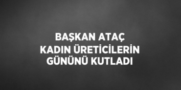 25690201632391331241tasarimli