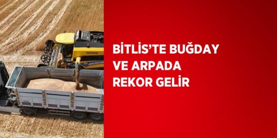 BİTLİS’TE BUĞDAY VE ARPADA REKOR GELİR