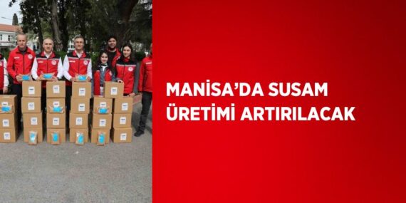 MANİSA’DA SUSAM ÜRETİMİ ARTIRILACAK