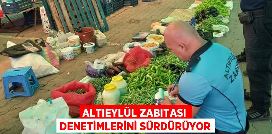 25701290942573131034tasarimli