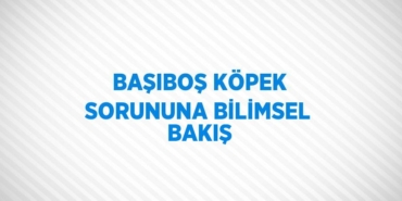 25702248152375620487tasarimli