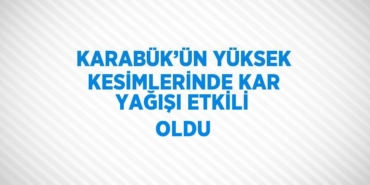25703209392587221799tasarimli