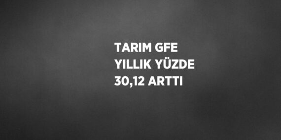 TARIM GFE YILLIK YÜZDE 30,12 ARTTI