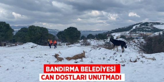 BANDIRMA BELEDİYESİ  CAN DOSTLARI UNUTMADI