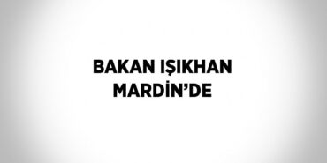 25715301592125523550tasarimli