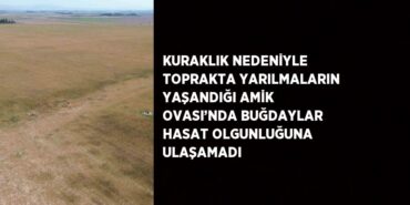 25716260272420421802