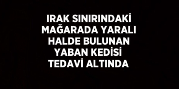 25717286562820130551tasarimli