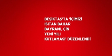 25720254982963129554
