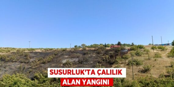 Susurluk’ta çalılık alan yangını