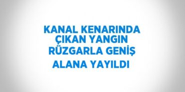 25735281593159926203tasarimli