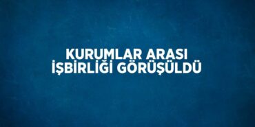 25739203432239526784tasarimli