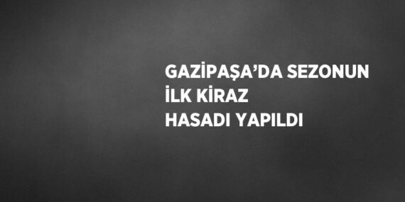 GAZİPAŞA’DA SEZONUN İLK KİRAZ HASADI YAPILDI