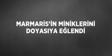 25744319812090728903tasarimli