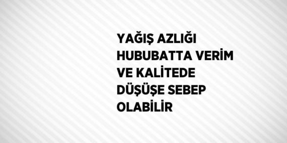 YAĞIŞ AZLIĞI HUBUBATTA VERİM VE KALİTEDE DÜŞÜŞE SEBEP OLABİLİR