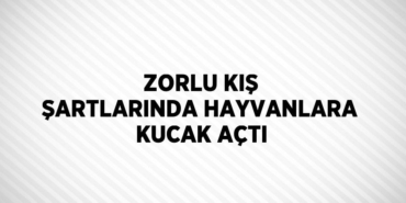 25746251262432827417tasarimli