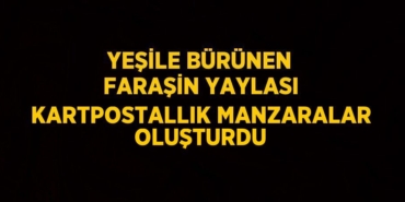 25752205872286731130tasarimli